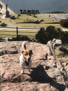 Casa dique Pet Friendly - Tandil - 1