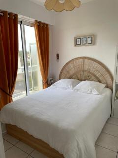Appartement T2 vue mer les pieds dans l'eau avec parking privé - Saint-Jean-de-Monts - 1
