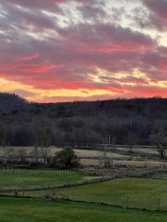 Dancing Barefoot Farms - 8