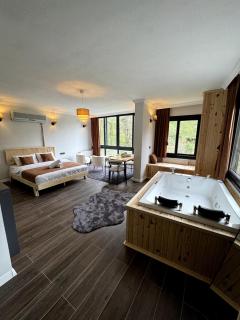Ponte Butik Otel - Çamlıhemşin - 0