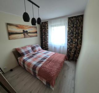 Apartament szmaragdowy- klimatyzacja, parking, Internet i ekspres do kawy - Włocławek - 2