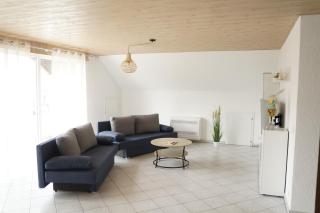 Ferienwohnungen zur Elz - Traumhafte 160 qm Wohnung mit Pool und Garten Nähe des Europaparks - Kappel-Grafenhausen - 6