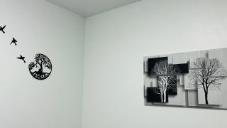 Nid Confort - Clermont-Ferrand - 5