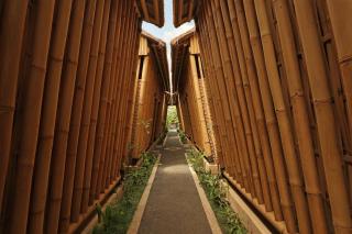 Vamana Resort - CHSE Certified - Gili Trawangan - 1