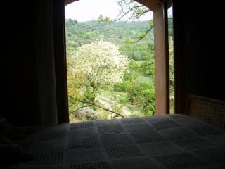 Fattoria il Leccio Independent Apartment on Florence Hills - Fiesole - 8