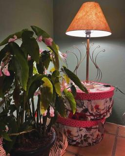 Café com chocolate - 4