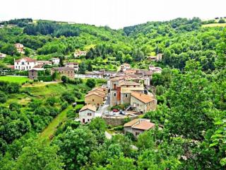 Gîte au cœur d'un village médiéval, charme et confort moderne - FR-1-496-125 - 9