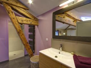 Gîte de charme avec terrasse, Wi-Fi et équipement bébé - FR-1-496-125 - Chagnon - 7