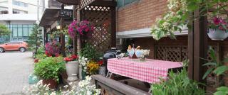 Roma Pension Boryeong - Boryeong - 5
