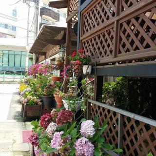 Roma Pension Boryeong - 2