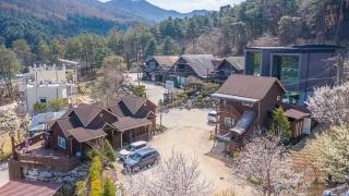 Fortune Rising Sun Hill Pension B - Pocheon - 5