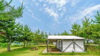 seocheon paintree glamping - 2