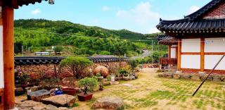 boseong sujinhanog pensyeon - Boseong - 7