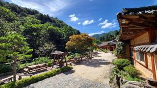 Gapyeong Dume Mountain Pension - Gapyeong - 0