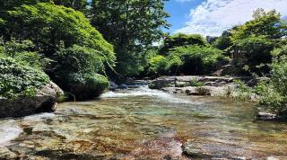 Gapyeong Dume Mountain Pension - 2