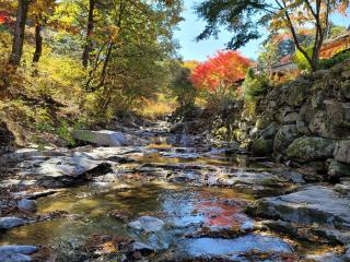 Gapyeong Dume Mountain Pension - Gapyeong - 1