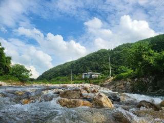 Danyang Forest 67 - Danyang - 7