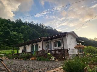 Danyang Forest 67 - 5