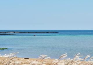 Hado fourseasons pension - 3