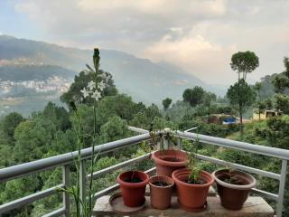 Vista Cottage Solan - 6