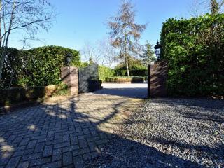 Spacious holiday home near with sauna - Garderen - 4