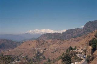 Comet Himalayan Paradise Homestay, Munsiyari - Munsyari - 7