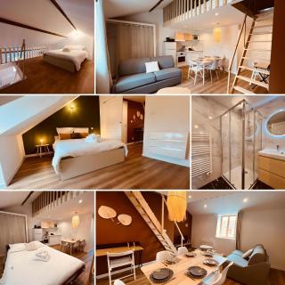 Le Wild Heaven - Home Homy - Vierzon - 9