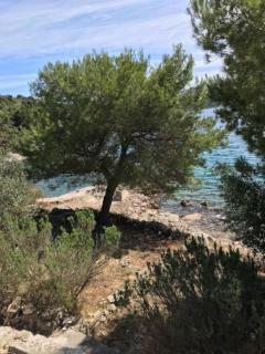 Jedina kuća u uvali, Otok Žut, Kornati - Murter - 1