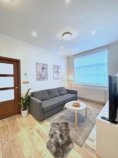 Apartment in Center of Prague with balcony - Prague - 8