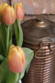 Copperpot Cottage All 2025 stays booking now - Portrush - 7