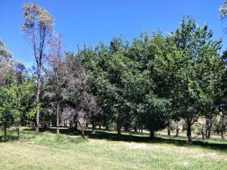 Beaconsfield Cottage - Essington - 8