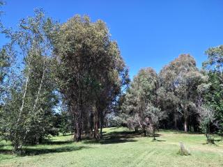 Beaconsfield Cottage - Essington - 7