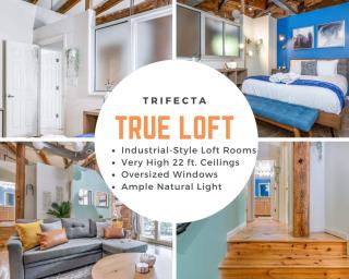 100 Year-Old Historic Brick 2BR Loft & Large Patio & Hammocks & High Ceiling - Durham - 4