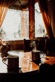 Cabin in the Snowy Mtns - Moonbah - Moonbah - 4