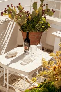 Casa Solomare by Travel with Gianni - Monopoli - 5