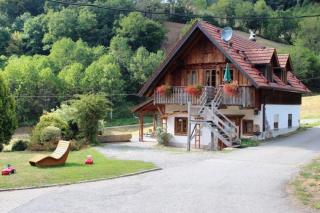 Ramsteinerhof - Fischerbach - 7