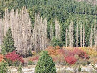 Appartment View Lake Salta - San Carlos de Bariloche - 3