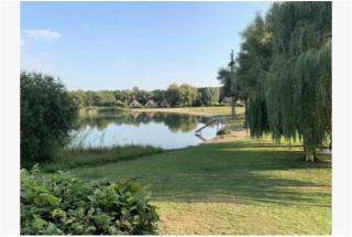 Lakeside Paradise Cozy Cottage With Hot Tub - Ewijk - 5