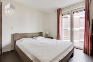 Chat Dazur 0202 - Koksijde - 5