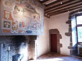 Manor house, huge park, Le Mans area - Saint-Germain-de-Coulamer - 8