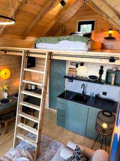 Kuća na drvetu - Zlatar Hill - Treehouse - Nova Varoš - 2