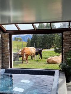 Mountain Lodge, Les Crosets - Les Crosets - 2