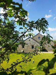 Gîte A Brouca - Gouvy - 7