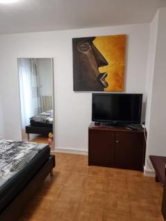 Rue de l'Indiennerie 3 - Ginevra - 5