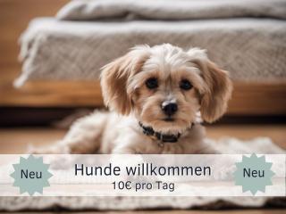 Bude im Harz - Perfekt für Zwei plus Hund, wandern ab der Haustür, ruhige Lage - Hahnenklee-Bockswiese - 9