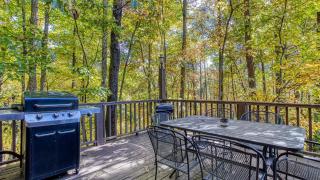 Fantastic Pet Friendly Cabin, Hot Tub, Fire Pit - Sevierville - 4