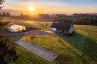 Little Farm - 9