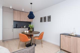 Near Gates of Dawn / Modern 1 bedroom / w/Netflix - Vilnius - 4