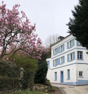 La Maison Blanche - Honfleur - 0