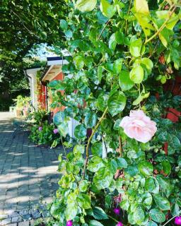 Östangård Apartments - 6